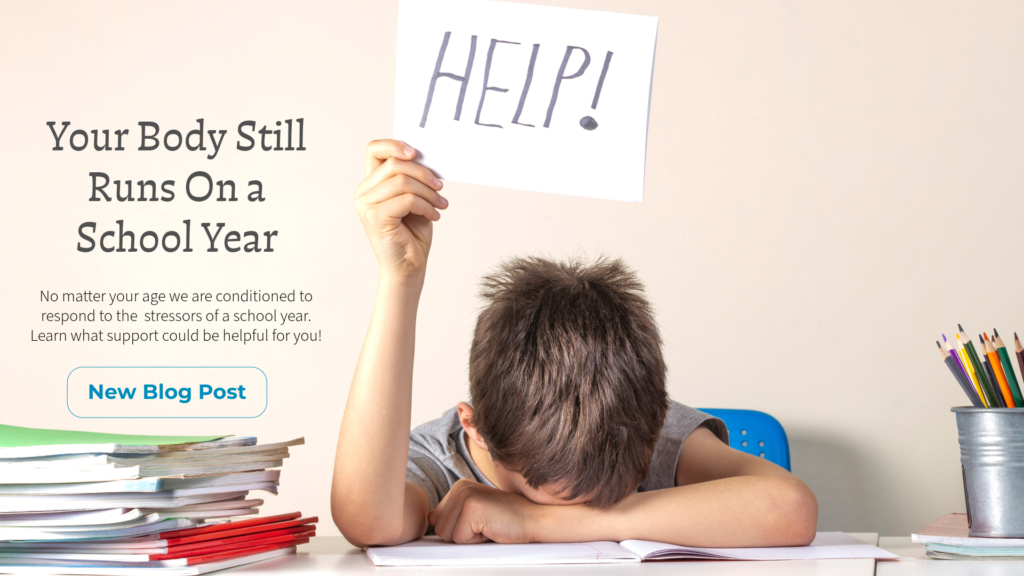 new blog school stress back to school